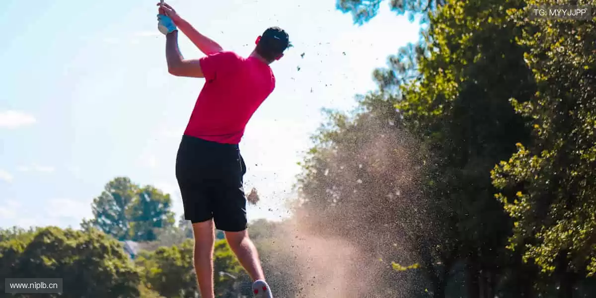 🎯 精准捕捉，不错过任何一个精彩瞬间！